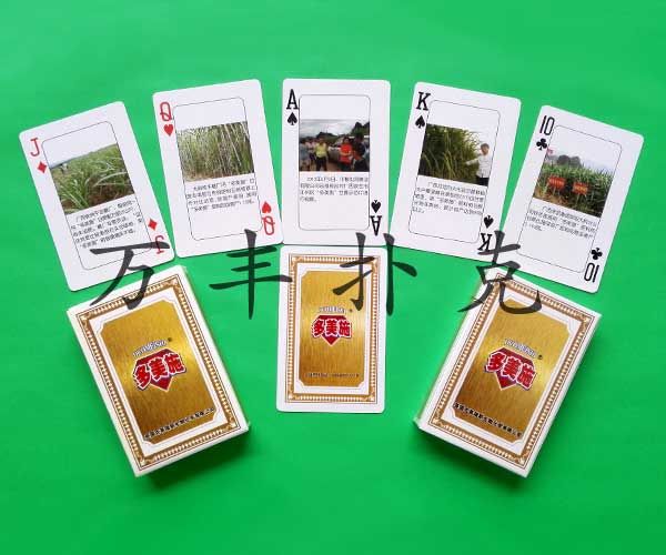 建設(shè)農(nóng)資類撲克